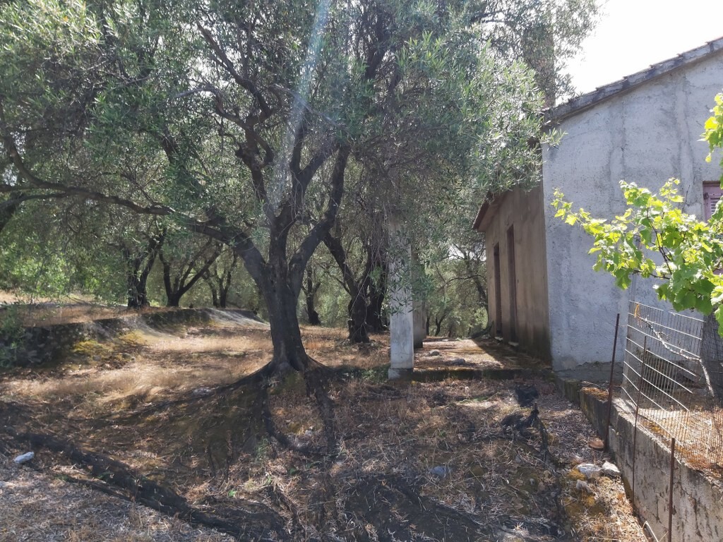 Land in Corfu, Corfu Prefecture, Greece – 50343