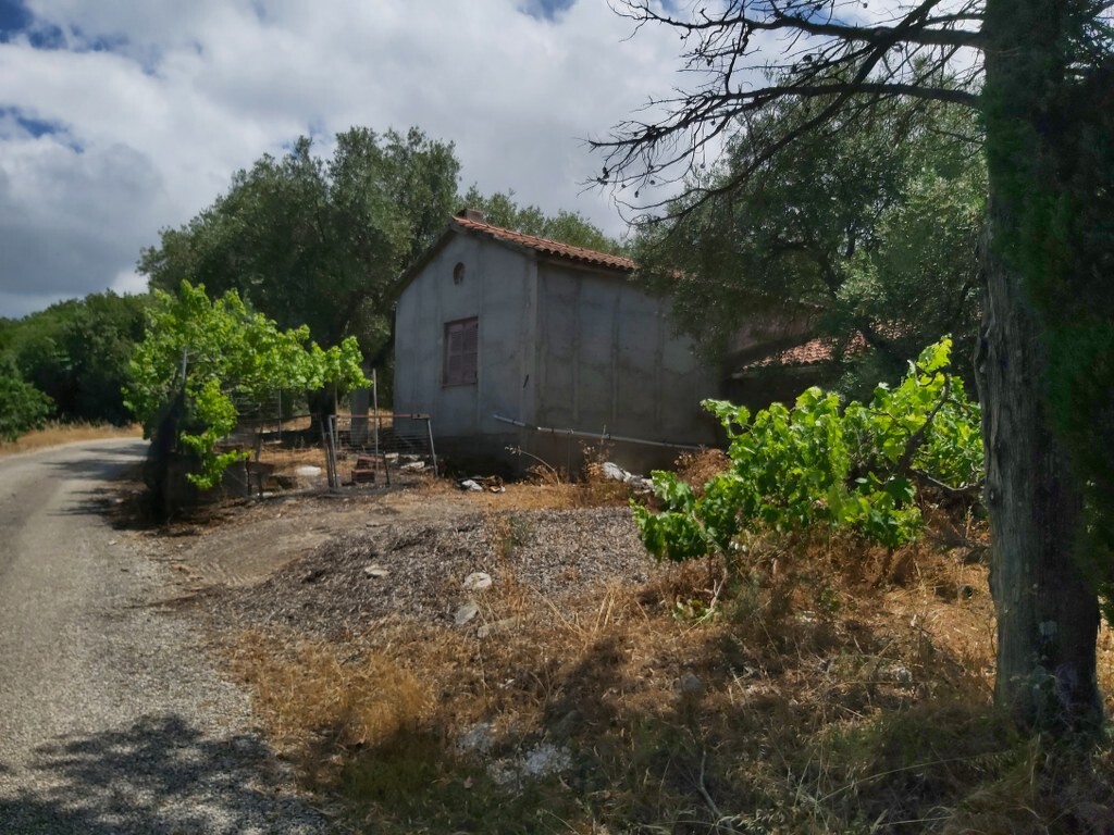 Land in Corfu, Corfu Prefecture, Greece – 50343