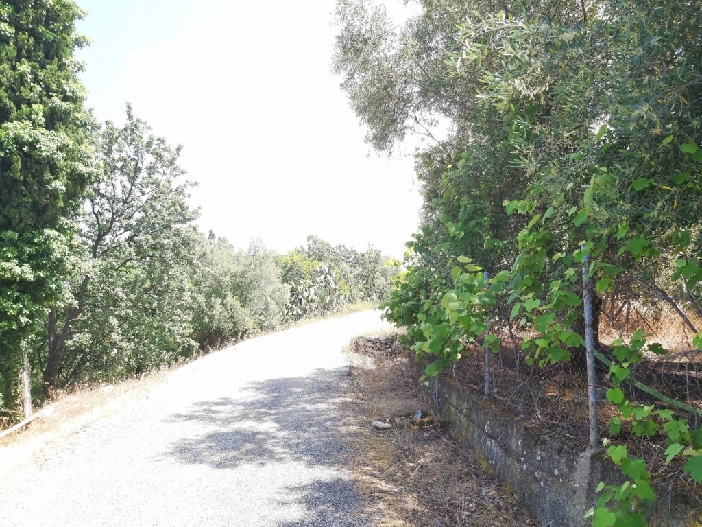 Land in Corfu, Corfu Prefecture, Greece – 50343
