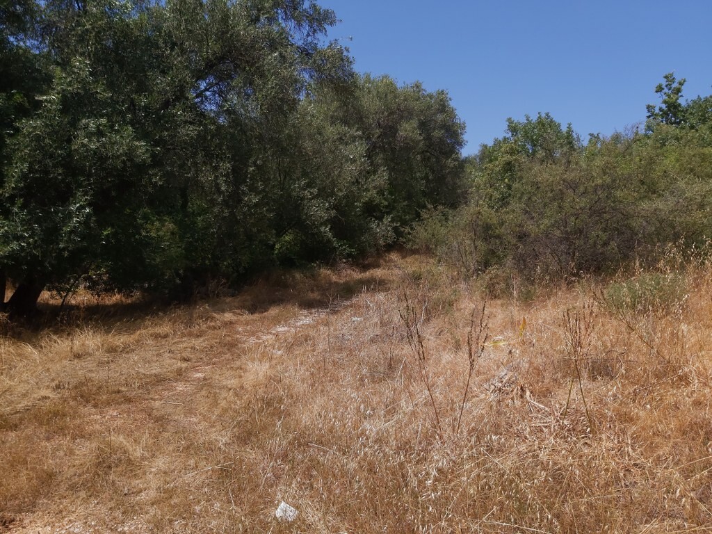Land in Corfu, Corfu Prefecture, Greece – 50342