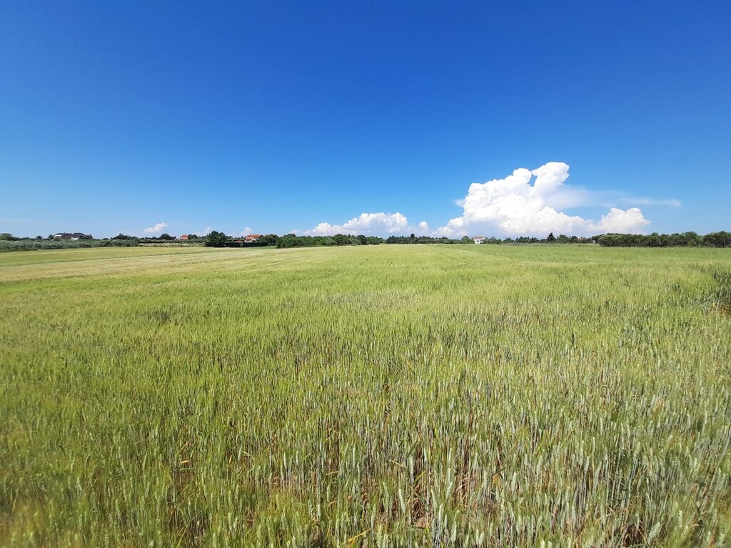 Land in Epanomi, Thessaloniki – Suburbs, Greece – 50326