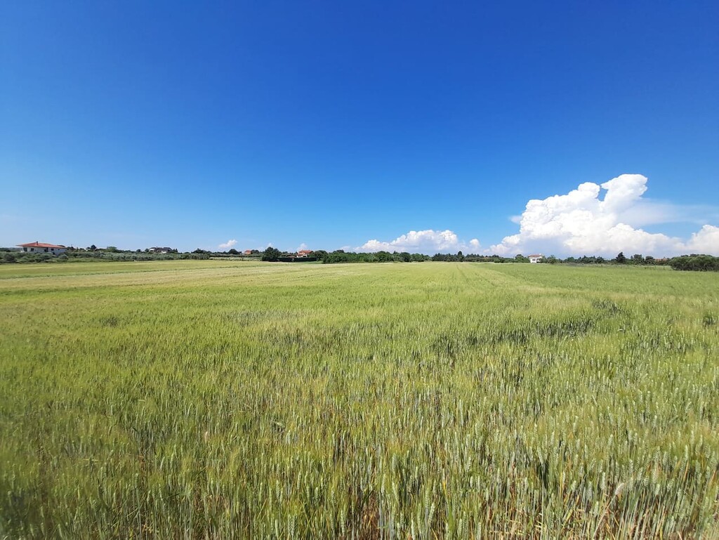 Land in Epanomi, Thessaloniki – Suburbs, Greece – 50326