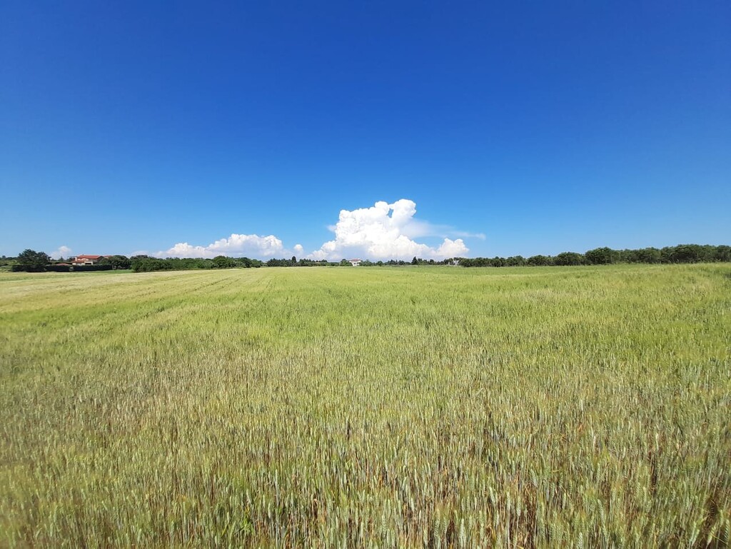 Land in Epanomi, Thessaloniki – Suburbs, Greece – 50326