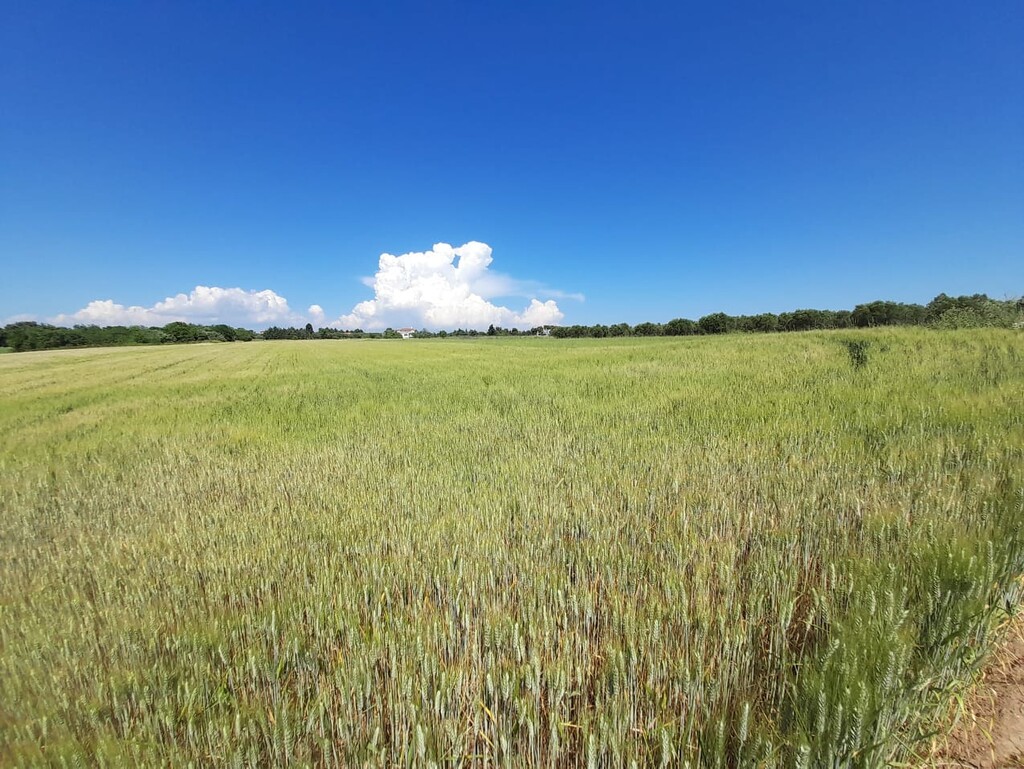 Land in Epanomi, Thessaloniki – Suburbs, Greece – 50326