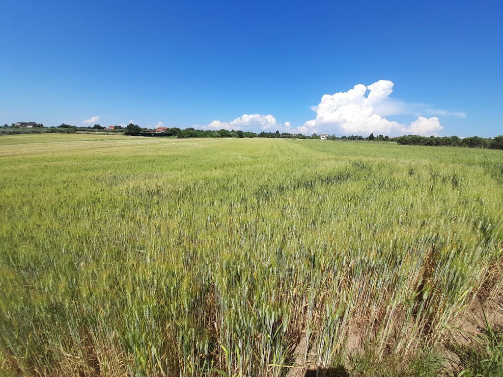 Land in Epanomi, Thessaloniki – Suburbs, Greece – 50326