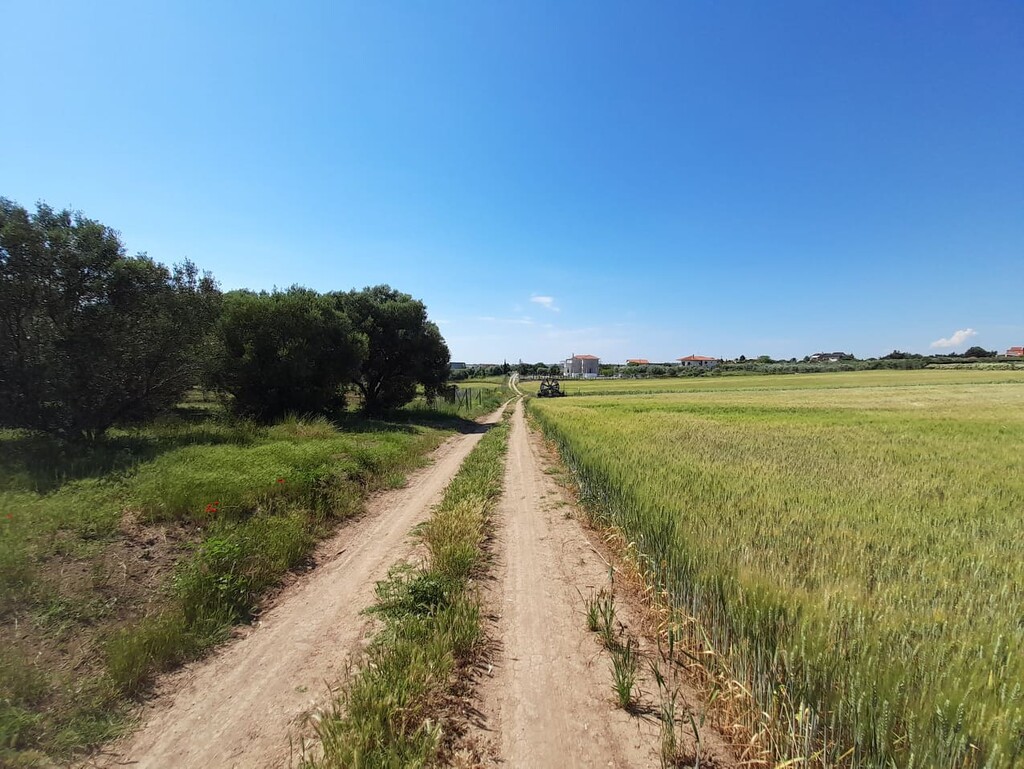 Land in Epanomi, Thessaloniki – Suburbs, Greece – 50326