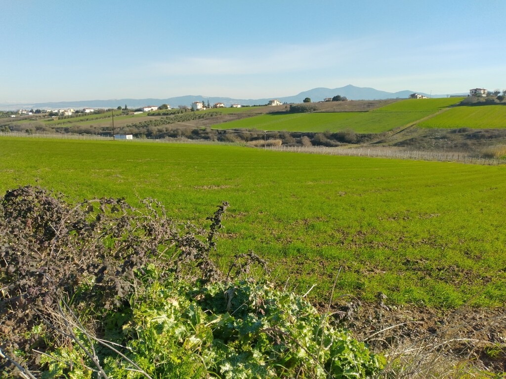 Land in Epanomi, Thessaloniki – Suburbs, Greece – 50305