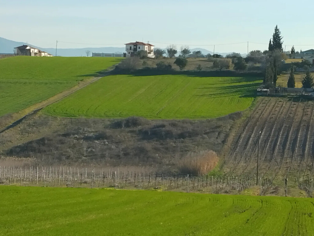 Land in Epanomi, Thessaloniki – Suburbs, Greece – 50305