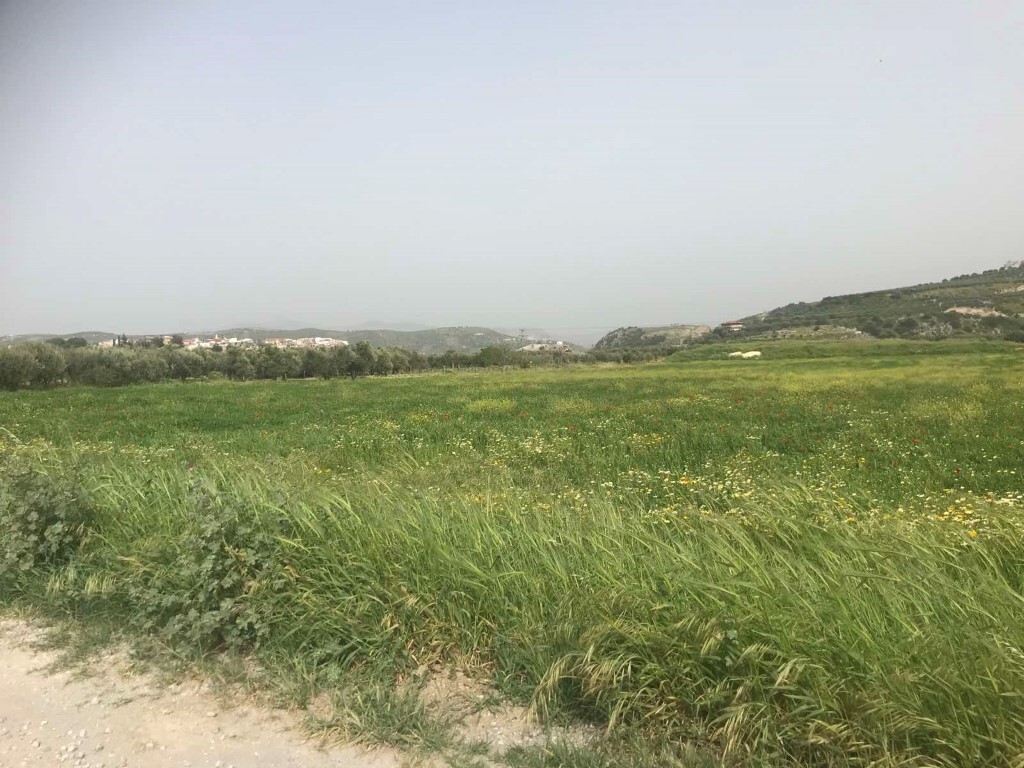 Land in Tetrachori, Heraklion Prefecture, Greece – 50298