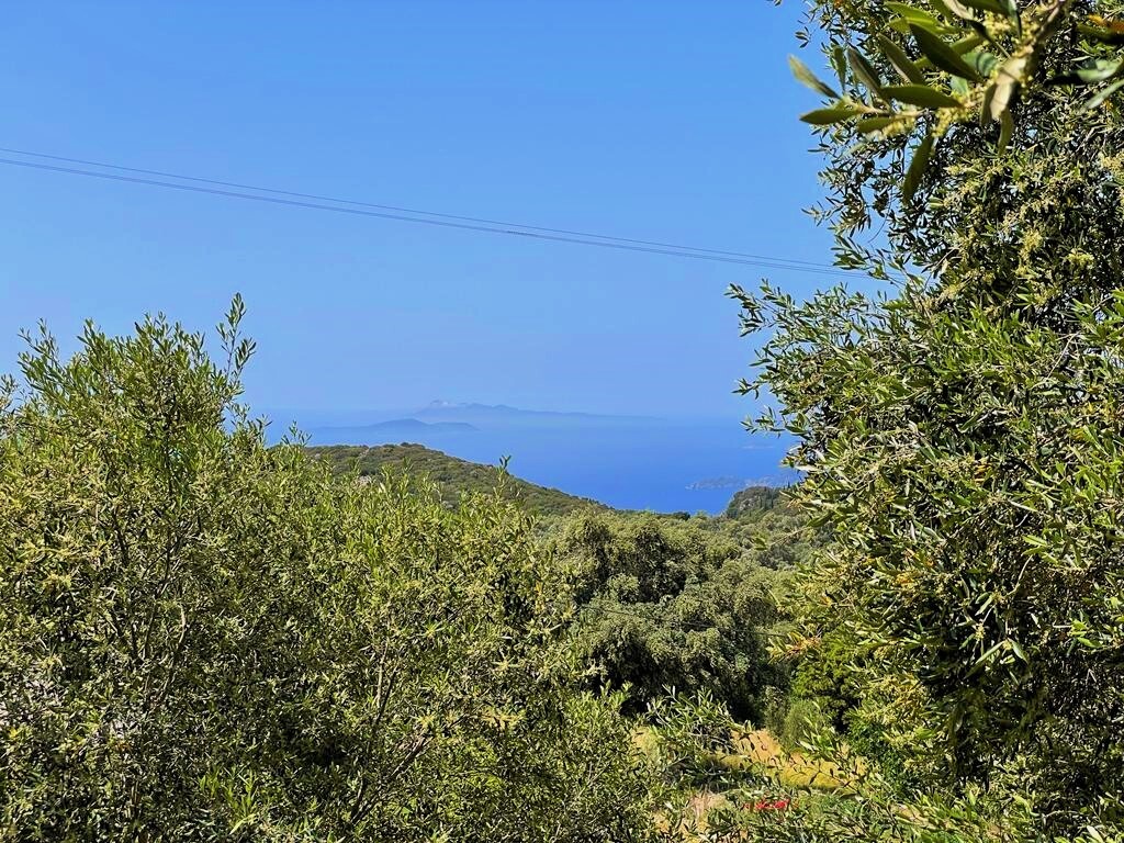 Land in Corfu, Corfu Prefecture, Greece – 50294