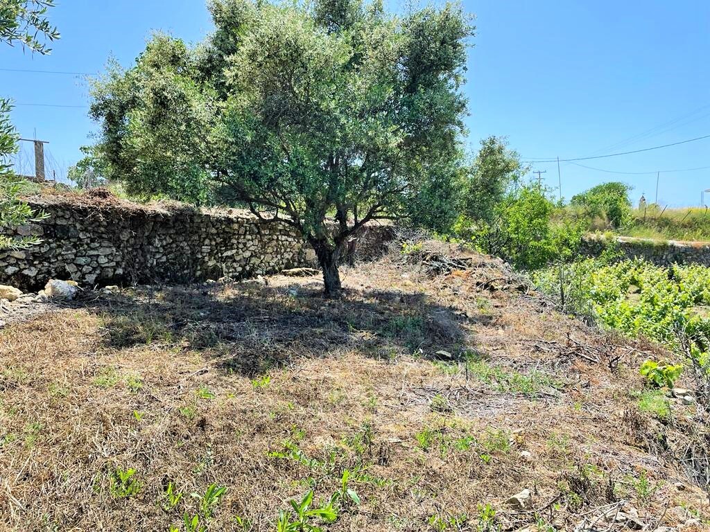 Land in Corfu, Corfu Prefecture, Greece – 50294