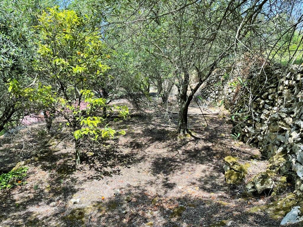 Land in Corfu, Corfu Prefecture, Greece – 50294