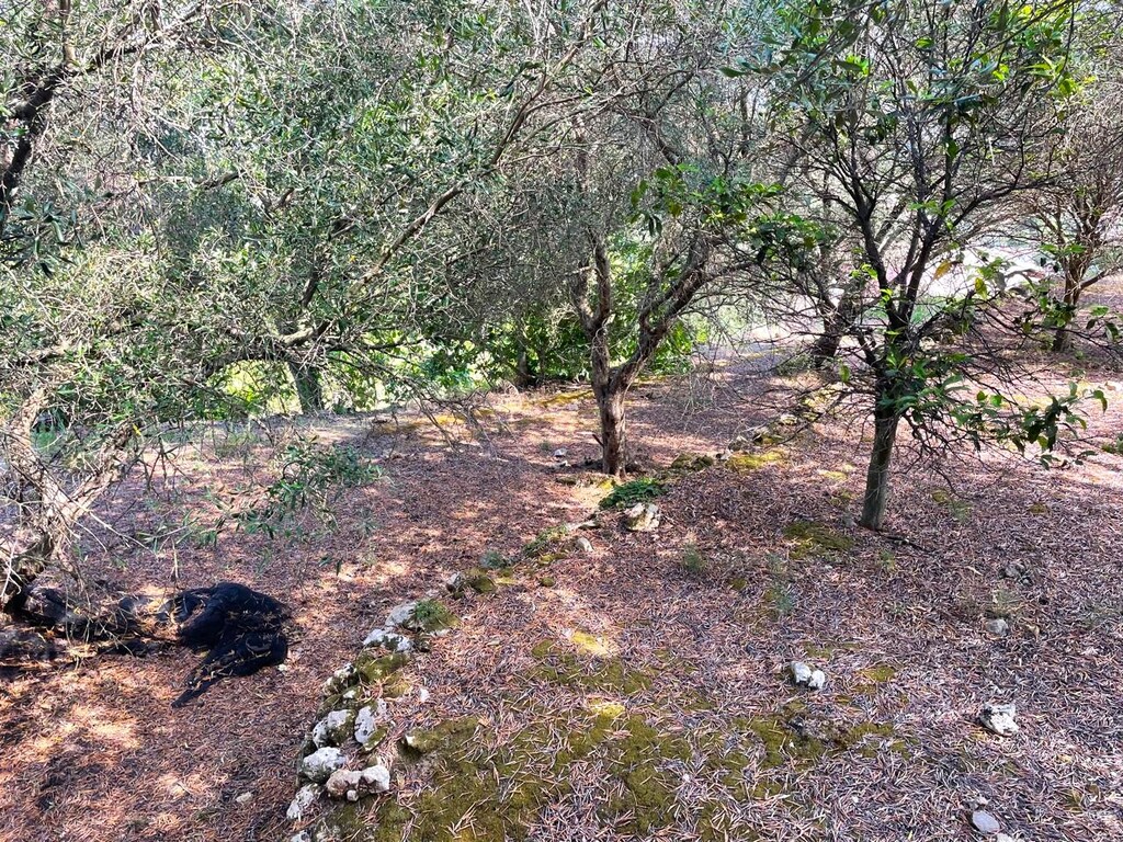 Land in Corfu, Corfu Prefecture, Greece – 50294