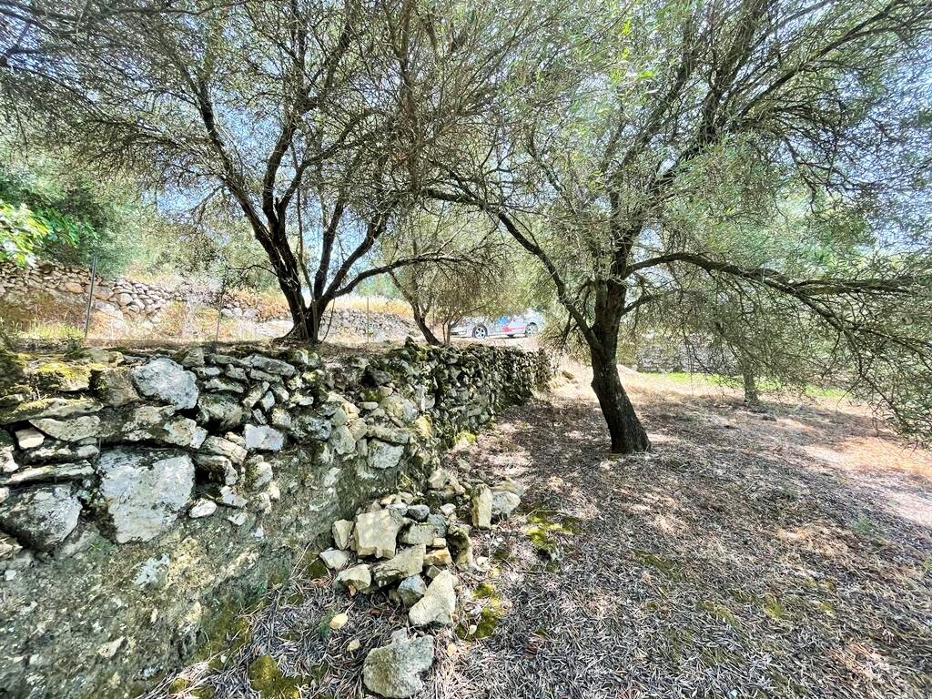 Land in Corfu, Corfu Prefecture, Greece – 50294