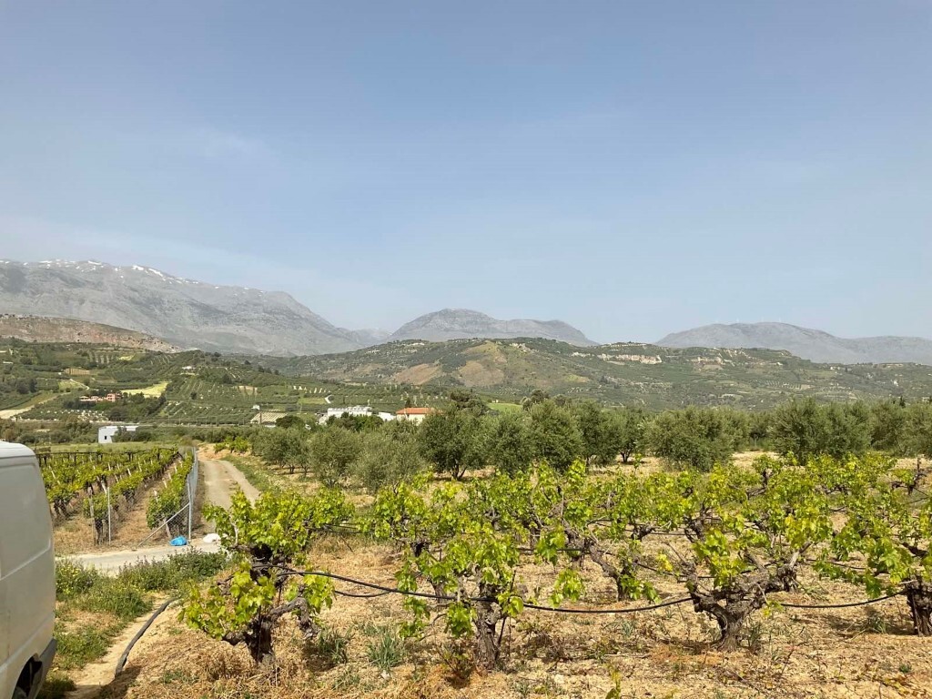Land in Heraclion Cretes, Heraklion Prefecture, Greece – 50255