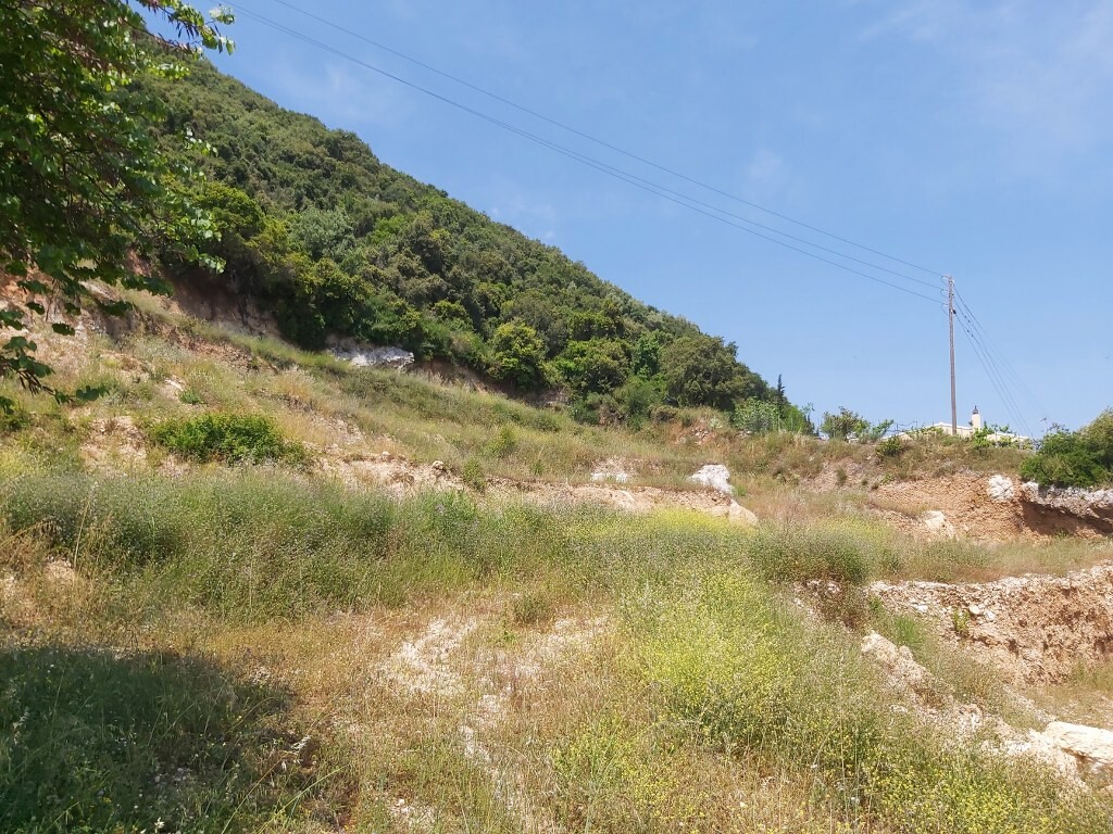 Land in Corfu, Corfu Prefecture, Greece – 50209
