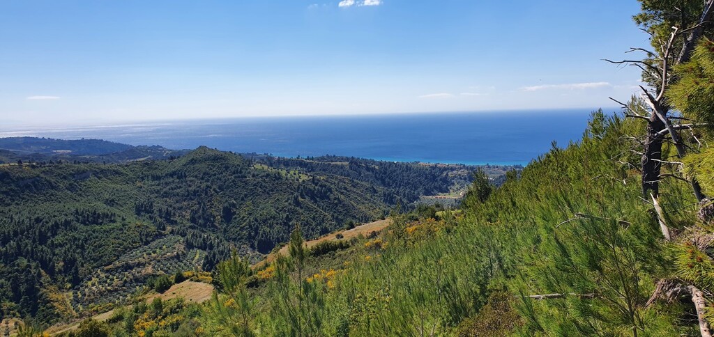 Land in Kassandra, Chalkidiki, Greece – 50192