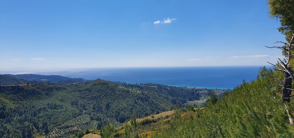Land in Kassandra, Chalkidiki, Greece – 50189