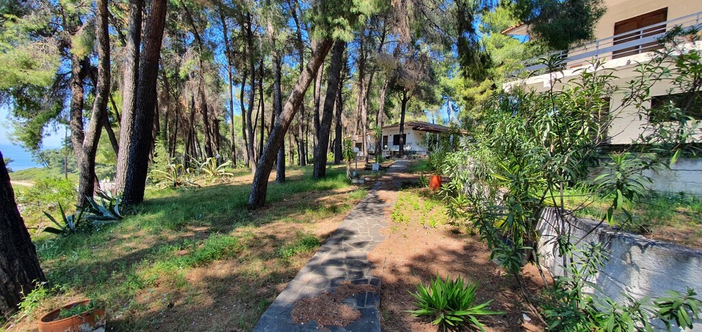 Villa in Kassandra, Chalkidiki, Greece – 50186