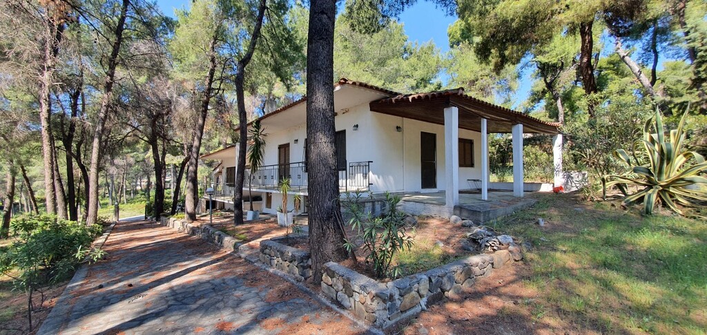 Villa in Kassandra, Chalkidiki, Greece – 50186