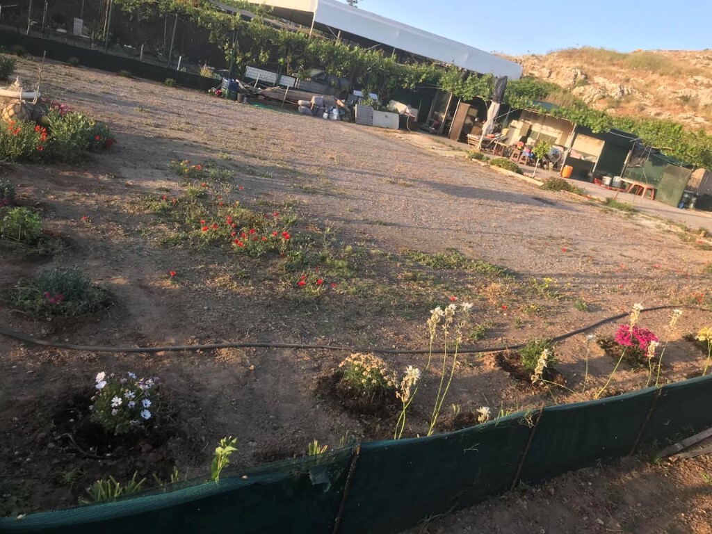 Land in Nea Alikarnassos, Heraklion Prefecture, Greece – 50183