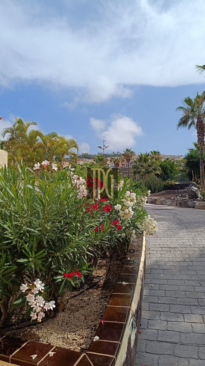 1 Bedroom Apartment for Sale in La Finca, Chayofa – OPN1944R