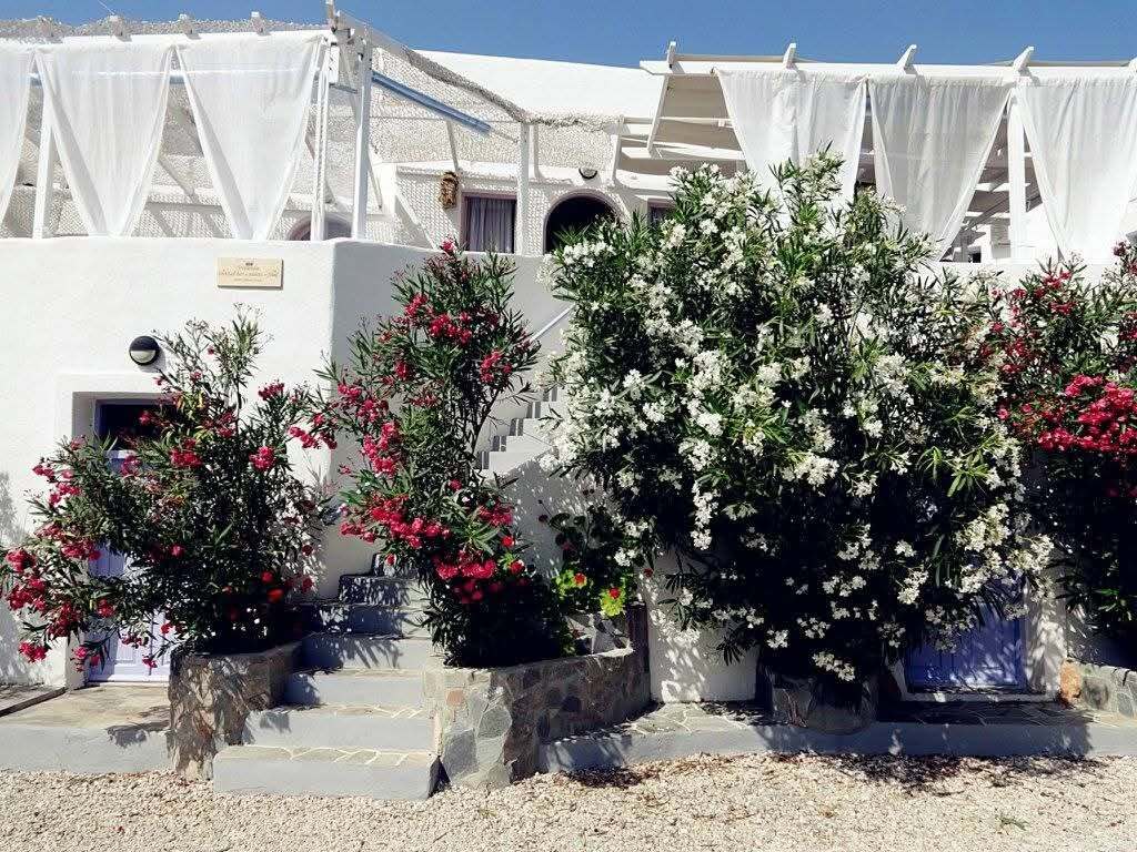 Hotel in Sikinos, Cyclades, Greece – 66584