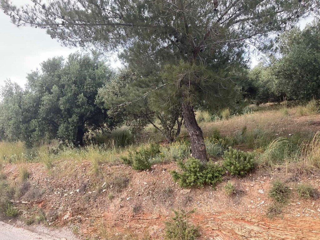Land in Gazi, Heraklion Prefecture, Greece – 50162