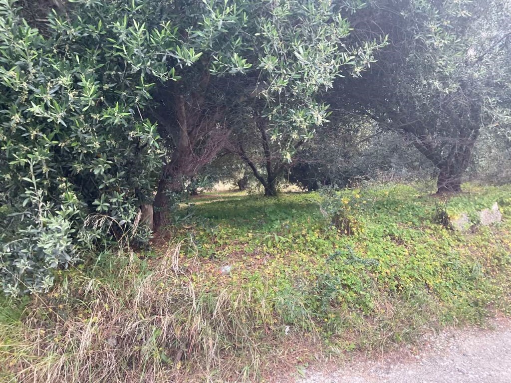 Land in Gazi, Heraklion Prefecture, Greece – 50162