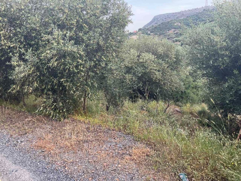 Land in Gazi, Heraklion Prefecture, Greece – 50162