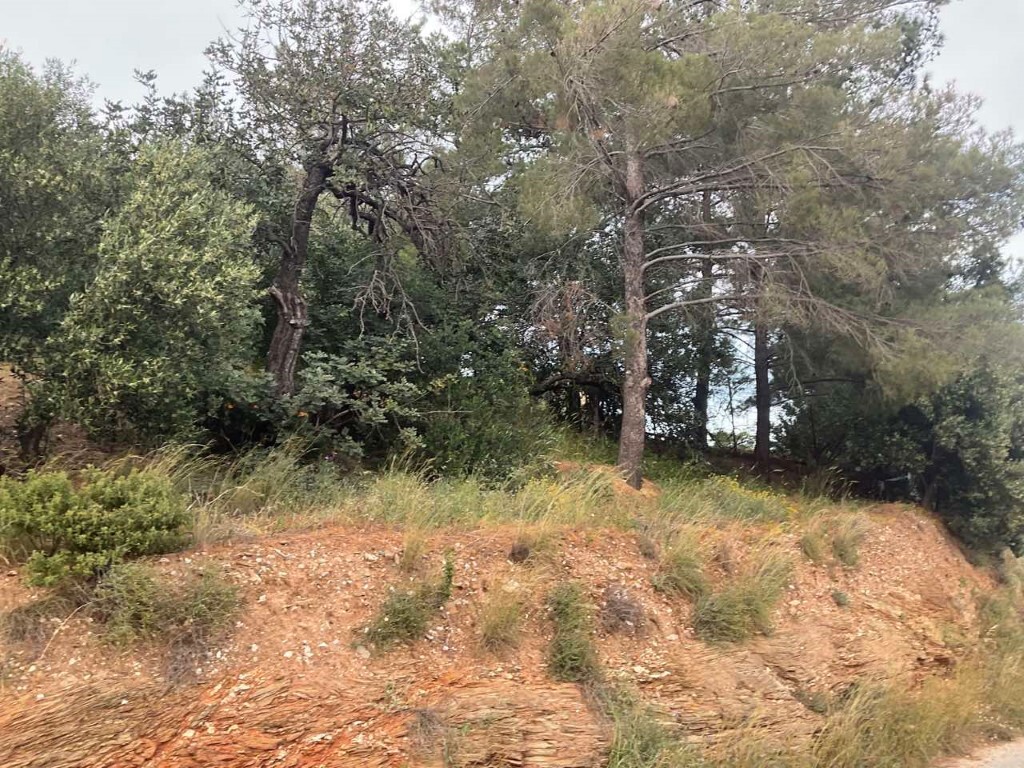Land in Gazi, Heraklion Prefecture, Greece – 50162