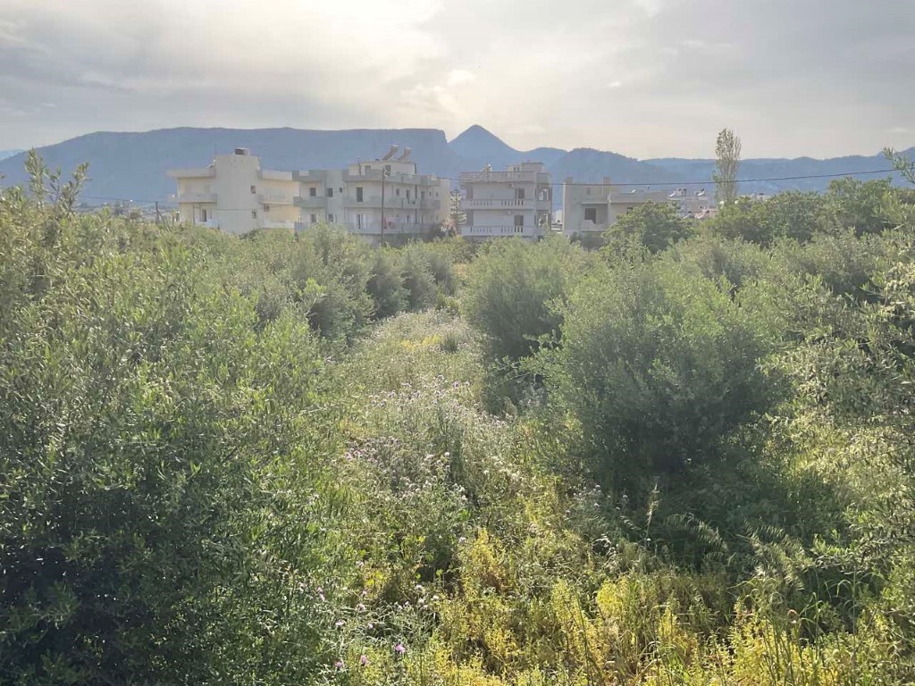 Land in Gazi, Heraklion Prefecture, Greece – 50156