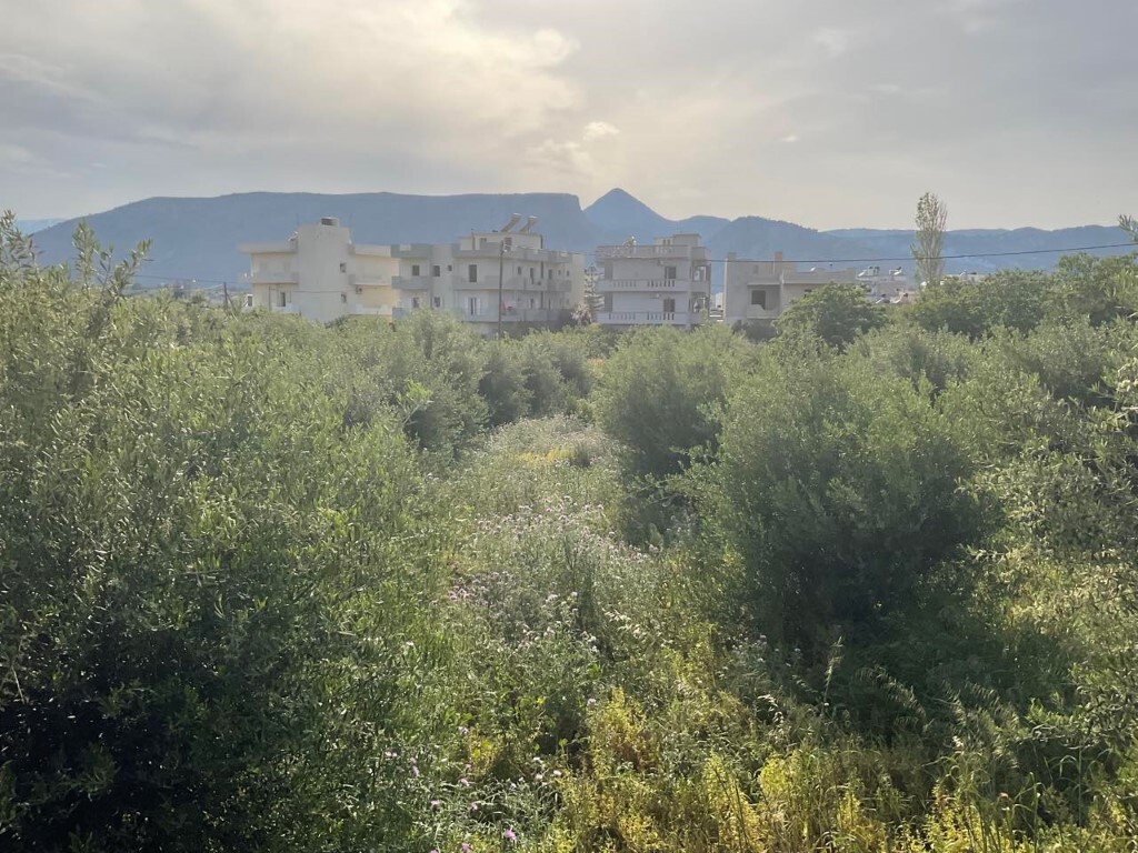 Land in Gazi, Heraklion Prefecture, Greece – 50156