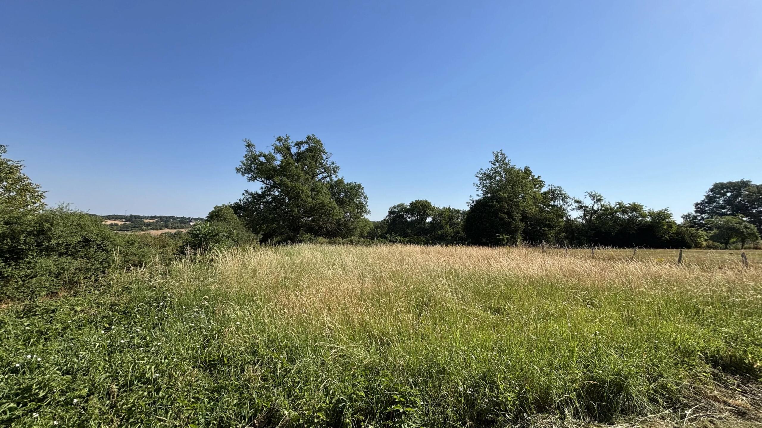 Beautiful barn with views!, Poitou-Charentes – France – BVI80421