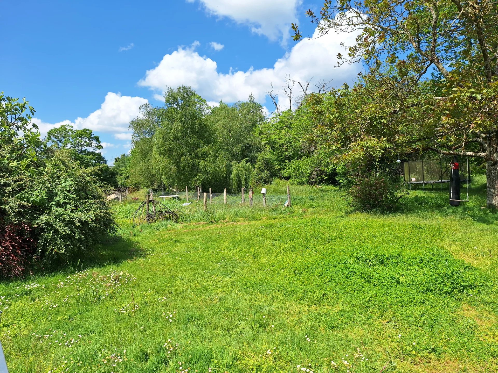 Detached character property with cottage and barn, Poitou-Charentes – France – BVI80788