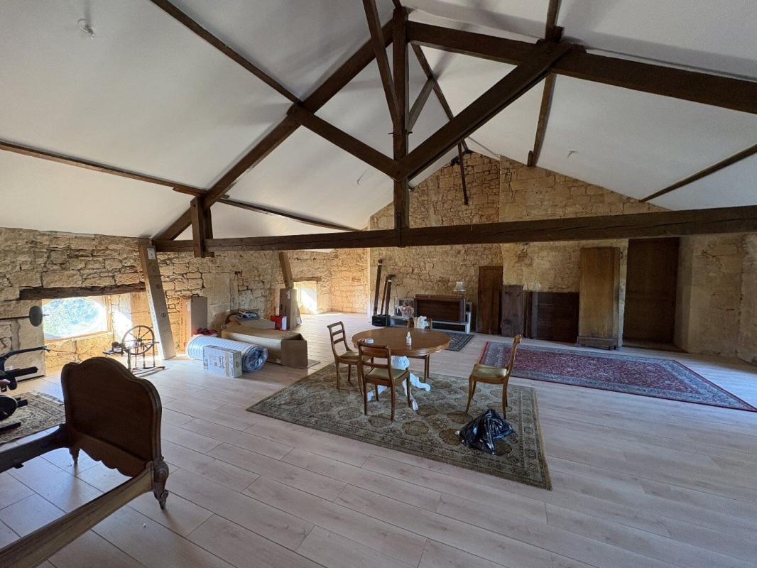 6 bedroom chateau in Sainte Orse, Dordogne, France