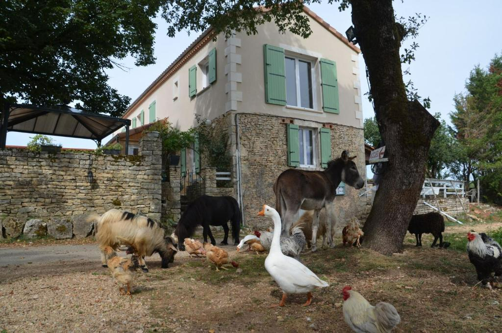 20 bedroom demeure in Gabillou, Dordogne, France