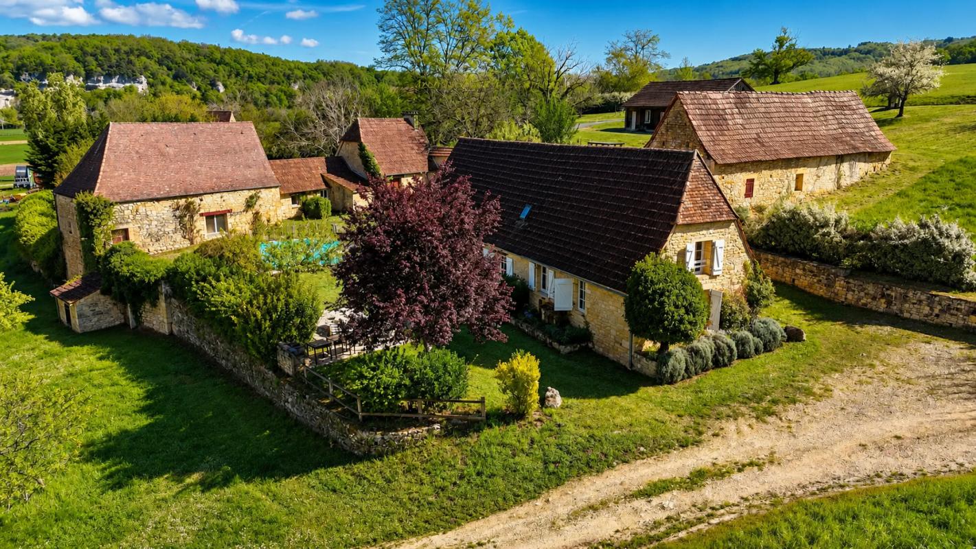 18 bedroom propriete in Les Eyzies, Dordogne, France