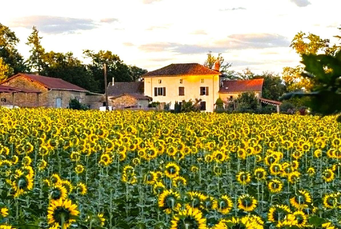 5 bedroom corps de ferme in Saint Bazile, Haute-Vienne, France