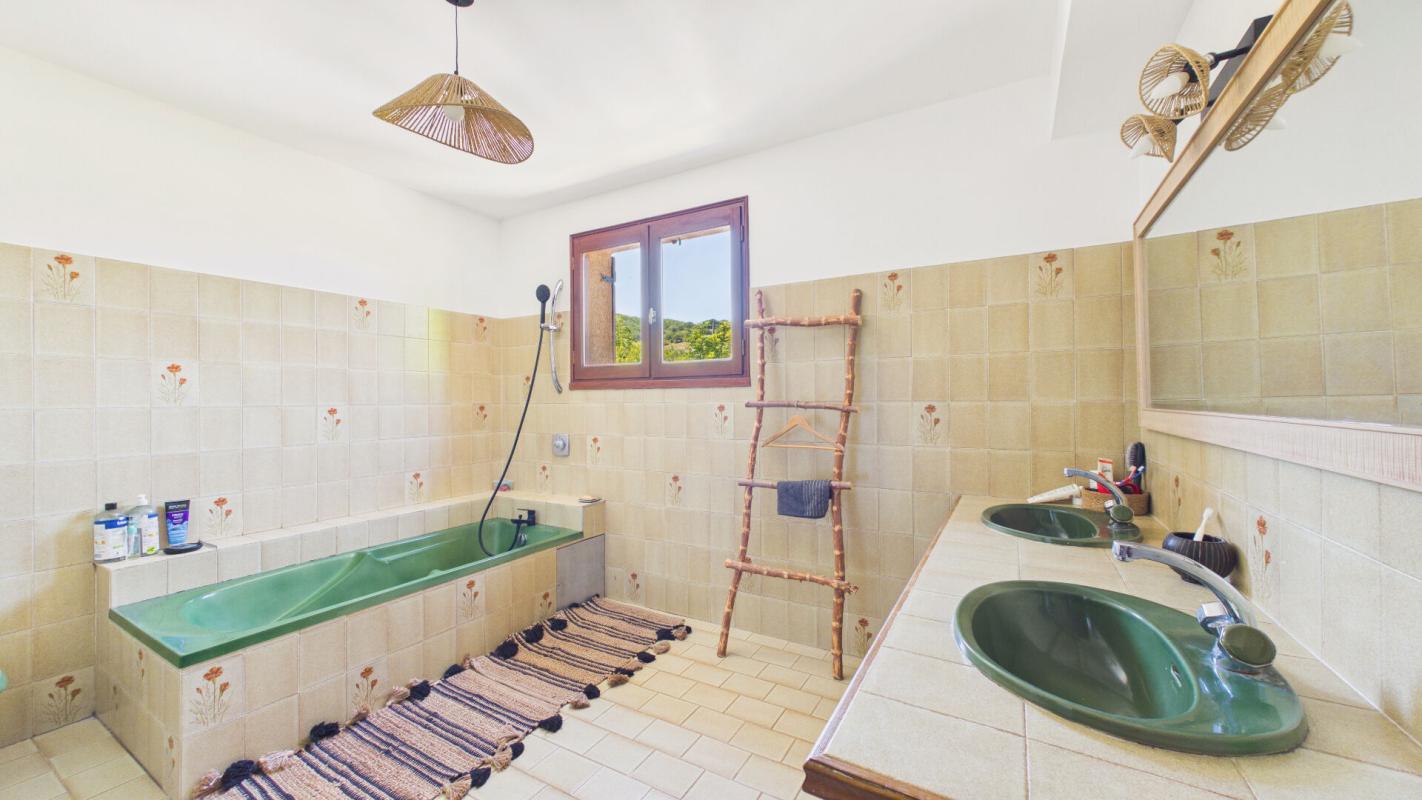 7 bedroom maison in Saint Christophe Vallon, Aveyron, France