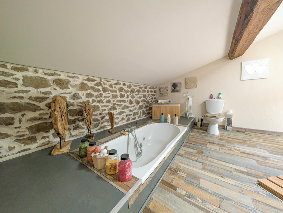 Beautiful stone-built home with cathedral-ceiling living room, pool, garage and 6 bedrooms near Carcassonne