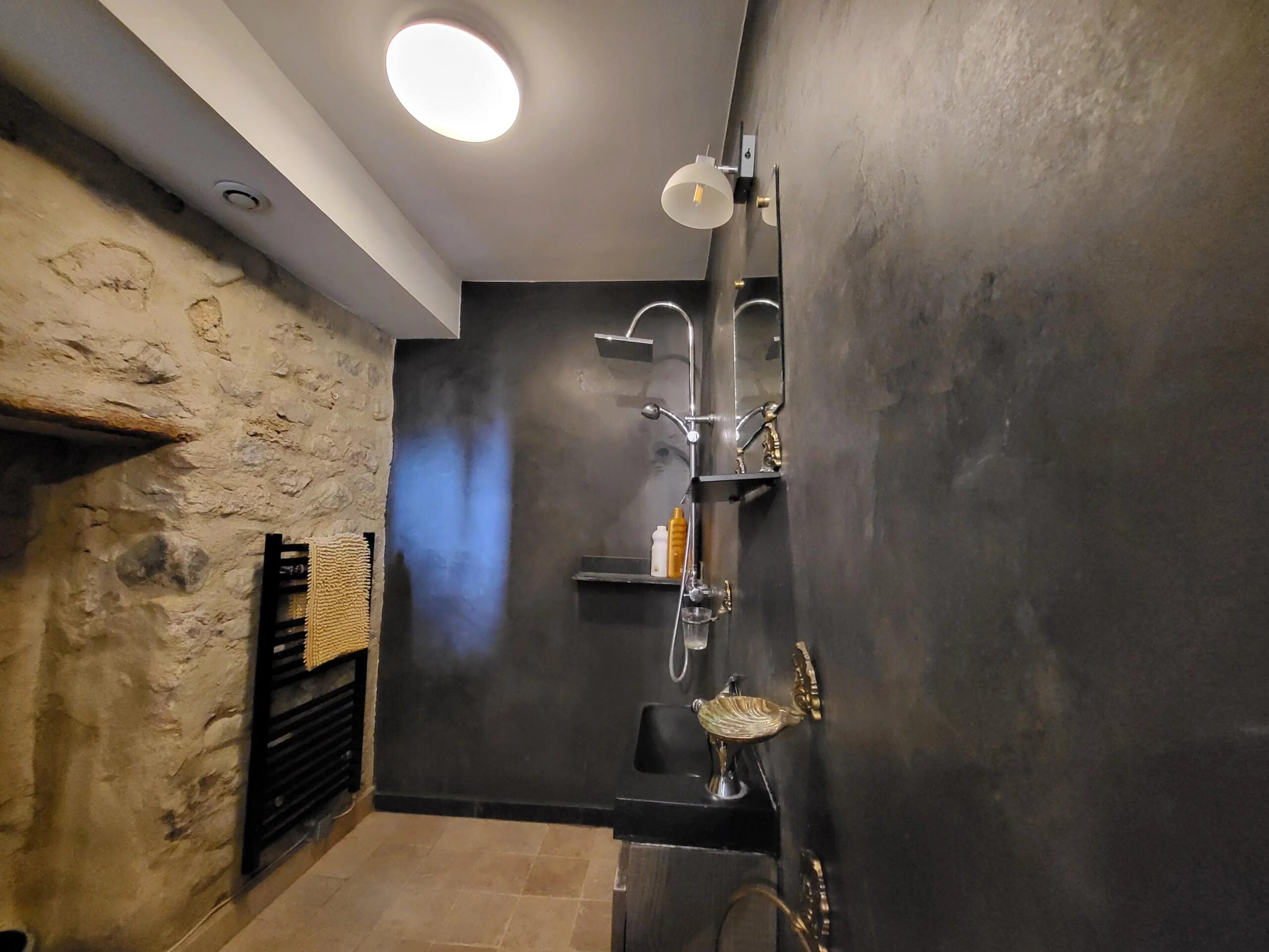 Character Property with great Guest House Potential with 5 en suite bedrooms, Languedoc-Roussillon – France – BVI85732