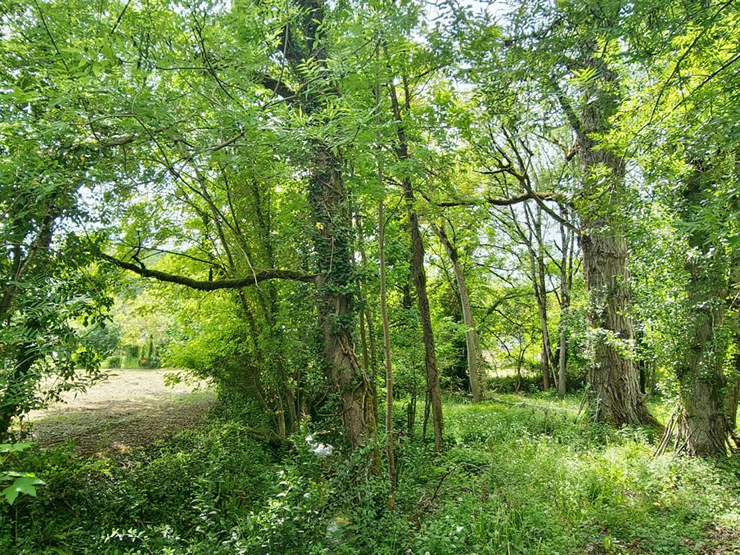 1 bedroom moulin in Caylus, Tarn-et-Garonne, France