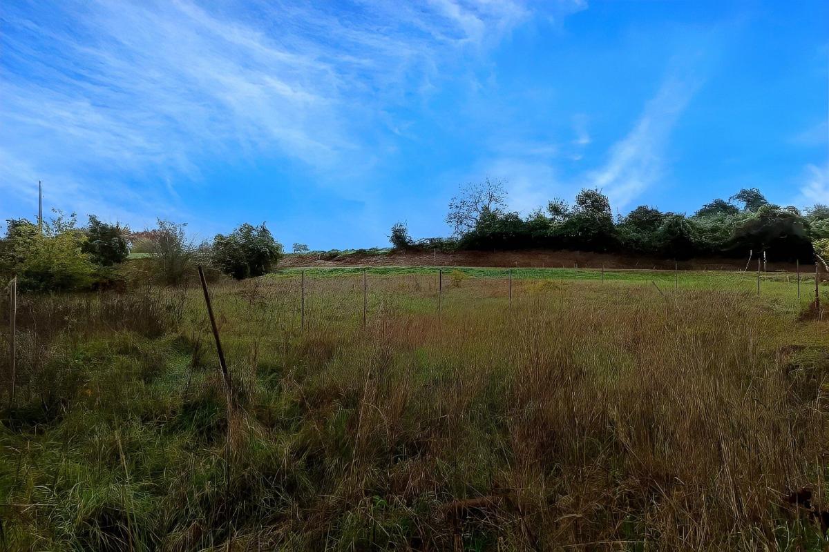 terrain a batir in Lescure D Albigeois, Tarn, France