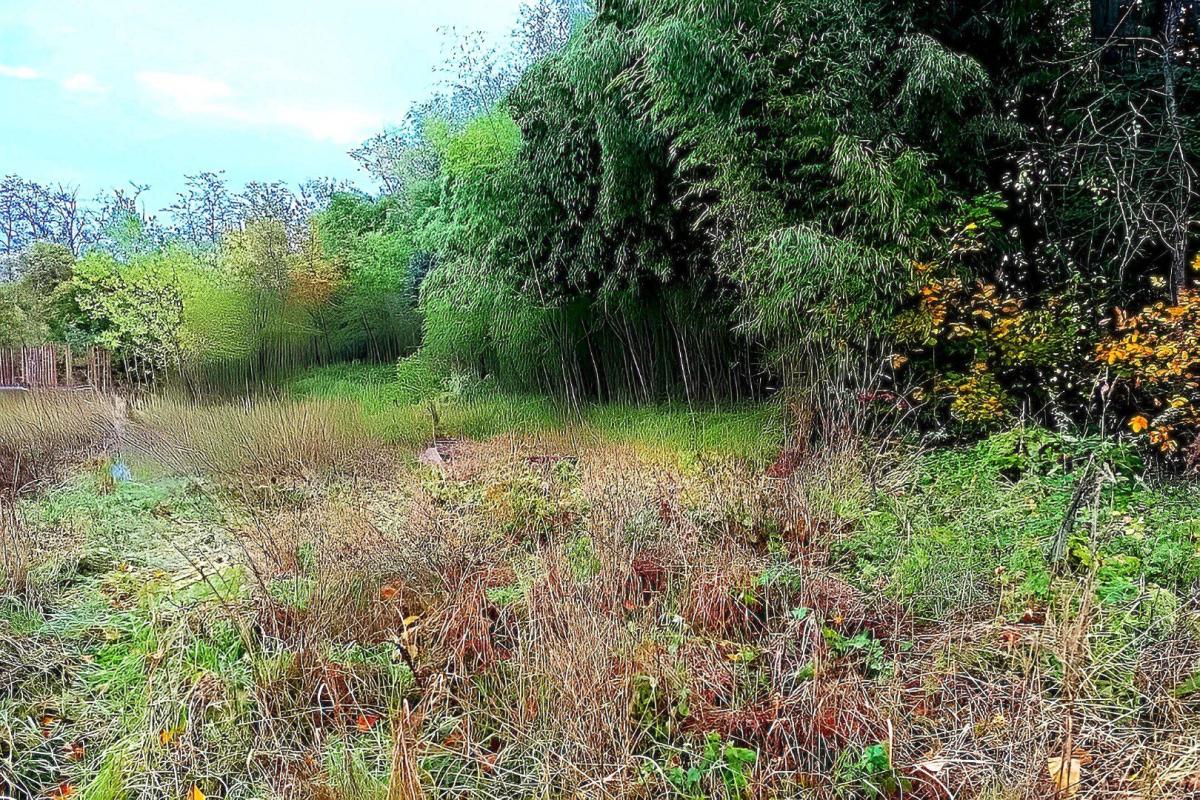 terrain a batir in Lescure D Albigeois, Tarn, France