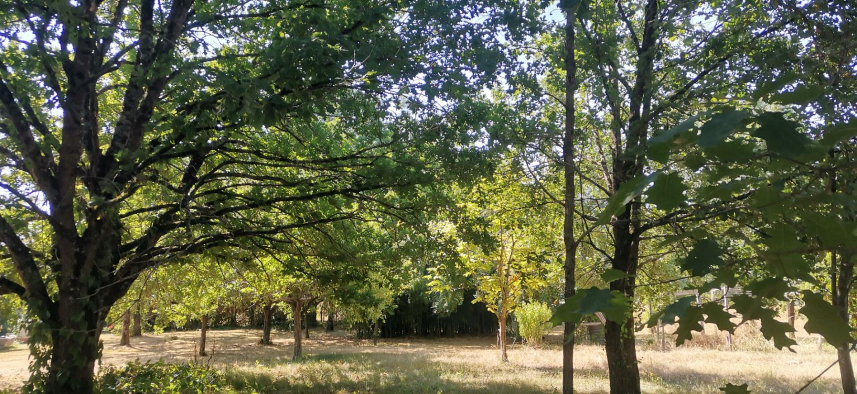 terrain a batir in Negrepelisse, Tarn-et-Garonne, France
