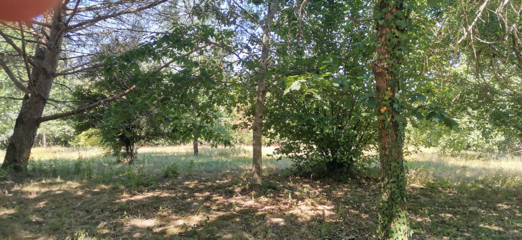 terrain a batir in Negrepelisse, Tarn-et-Garonne, France