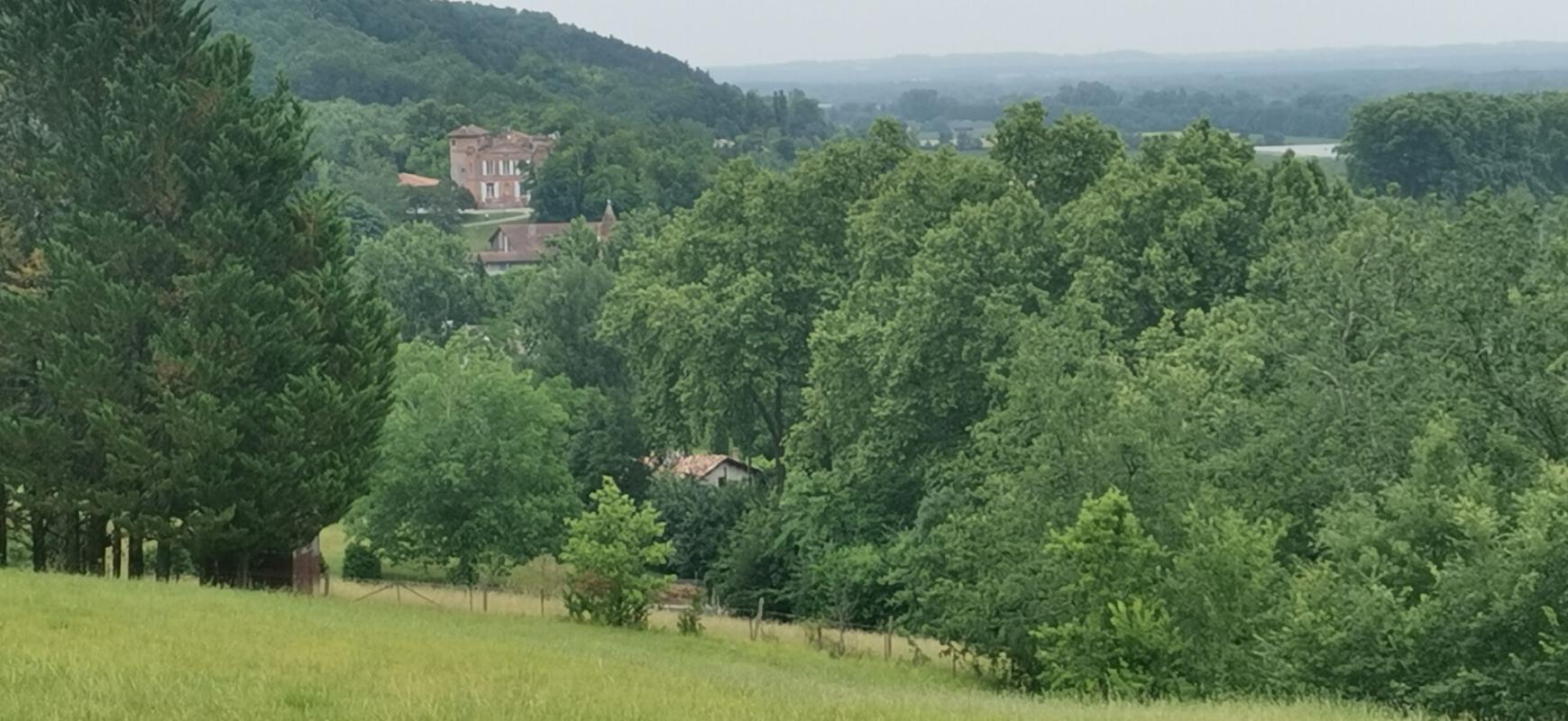 5 bedroom propriete in Piquecos, Tarn-et-Garonne, France