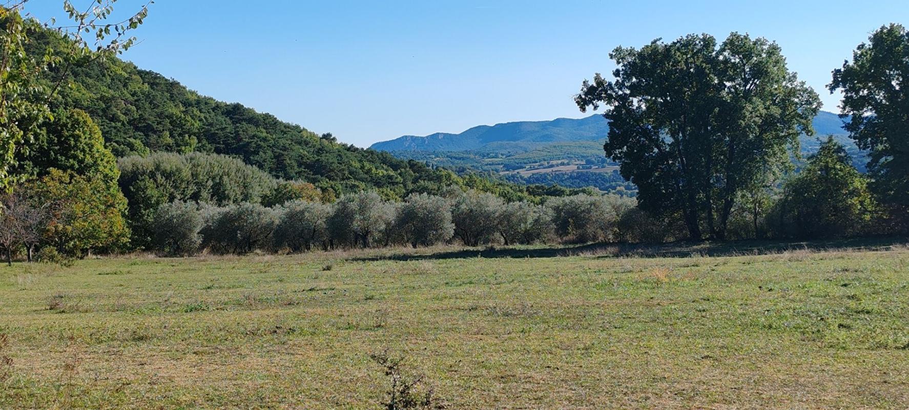 9 bedroom corps de ferme in Forcalquier, Alpes-de-Haute-Provence, France