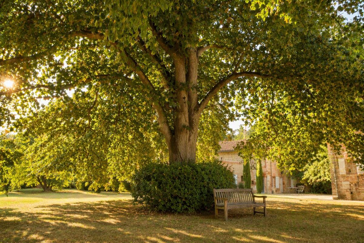 12 bedroom chateau in Saint Lieux Les Lavaur, Tarn, France